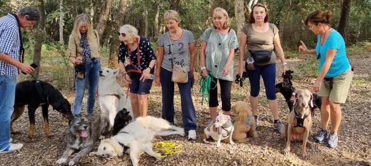 �ducation canine dans les Alpes Maritimes 