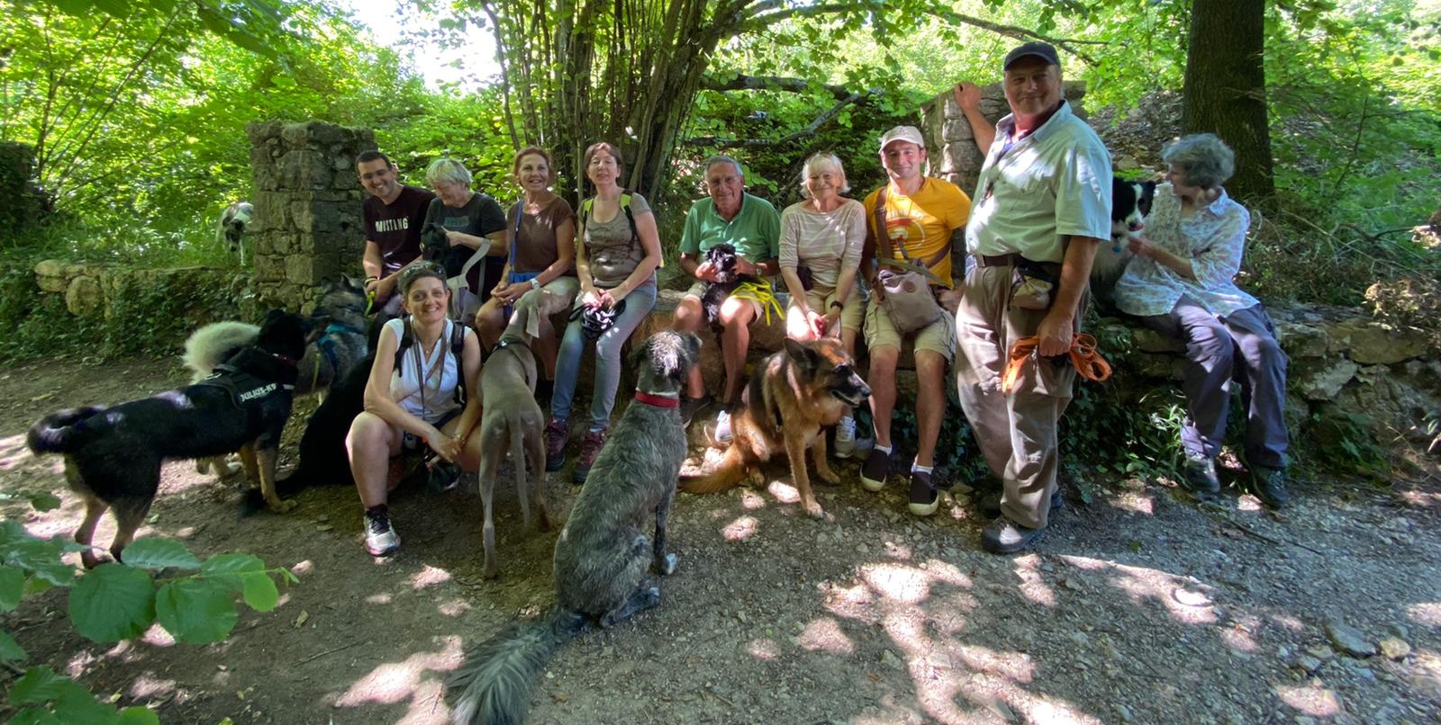 �ducation canine de groupe 